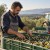 003.03 — Αγροτικές Επιχειρήσεις &amp; Συνεταιρισμοί